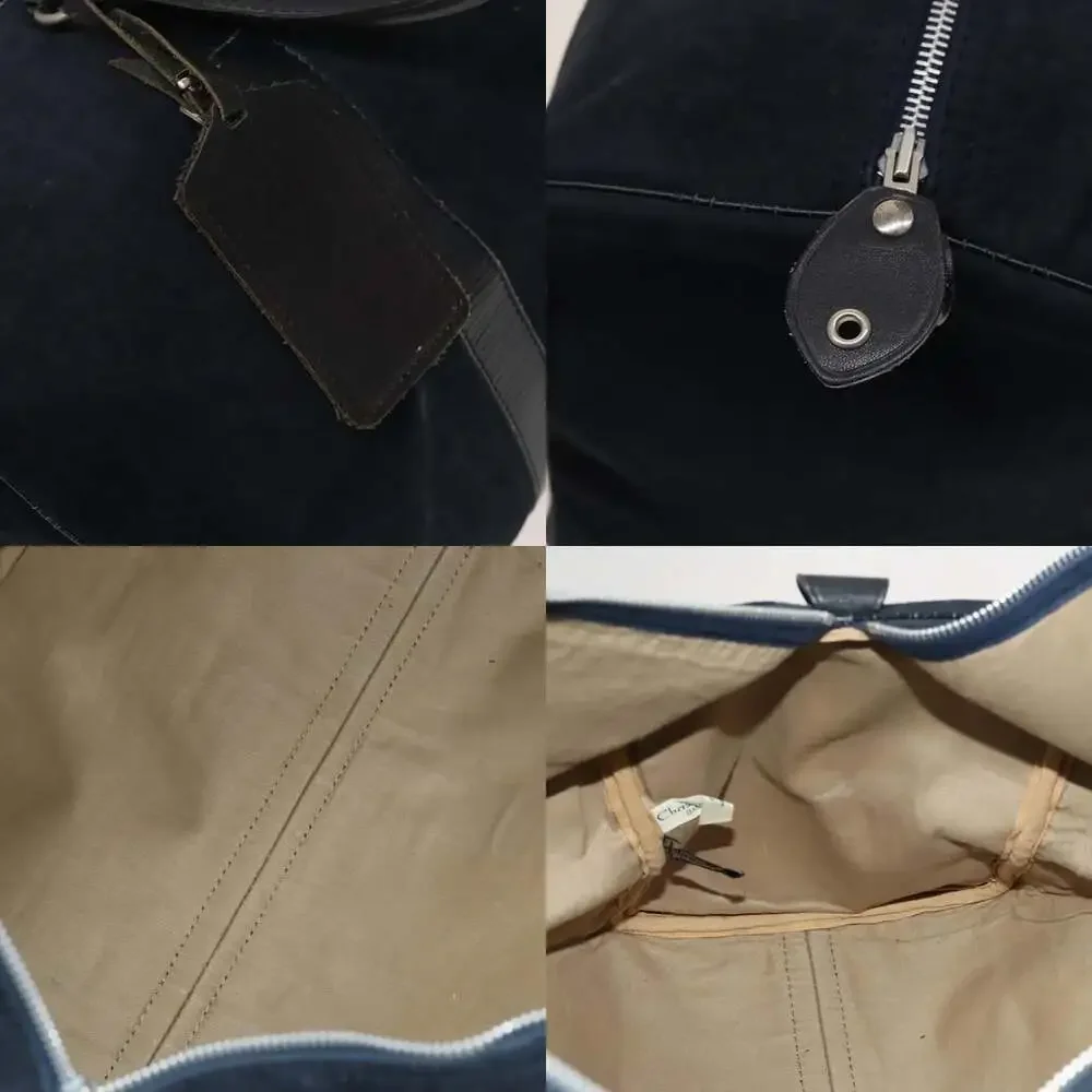 Dior trotter canvas